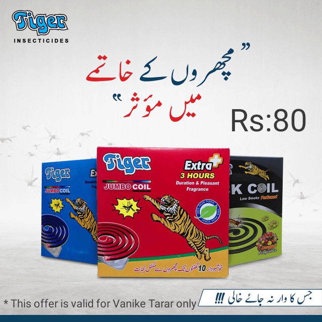 Tiger Coil Pack