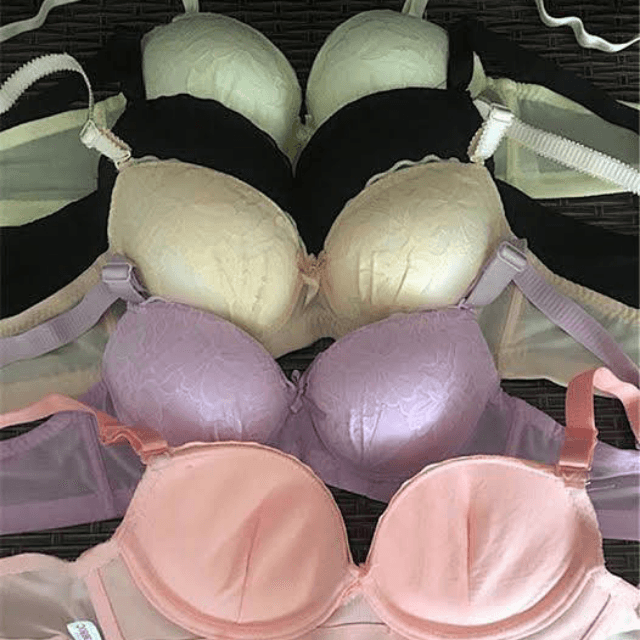 Foam Bra 36 Multi color