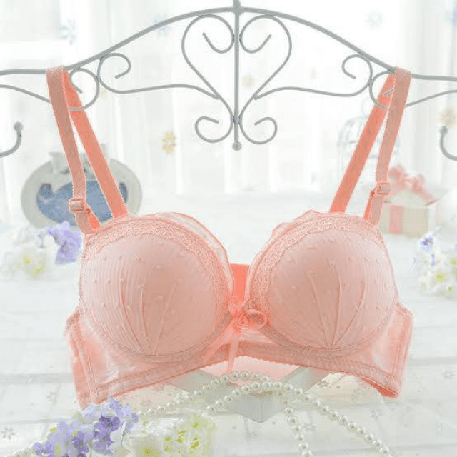 Foam Bra 36 Size C Cup